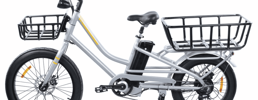 Cargo Ebike