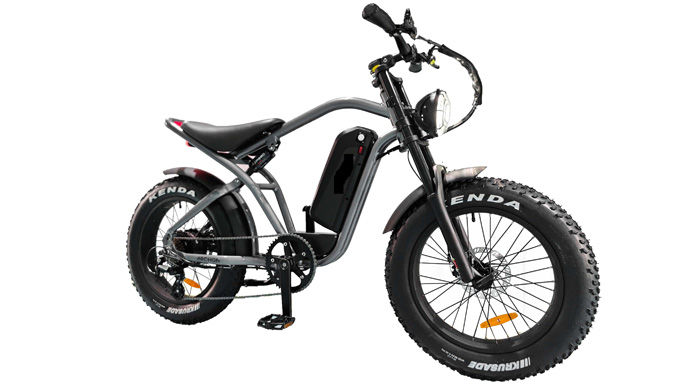 Leisure sport fat ebike