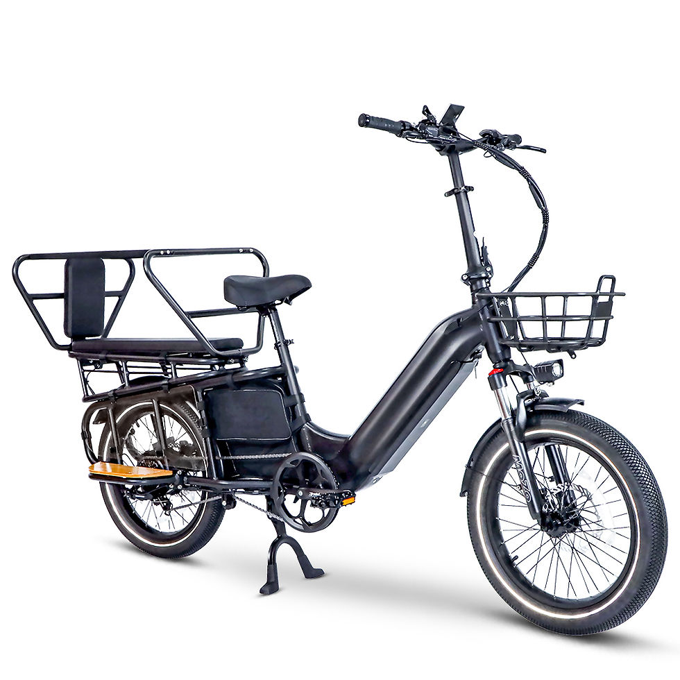 Thumbnail: Electric Cargo Bike, Family E-bike, Longtail Cargo Bike -B69