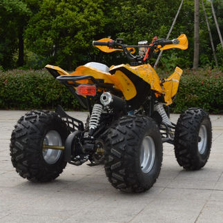 50cc/70cc/90cc Gas ATV for Kids