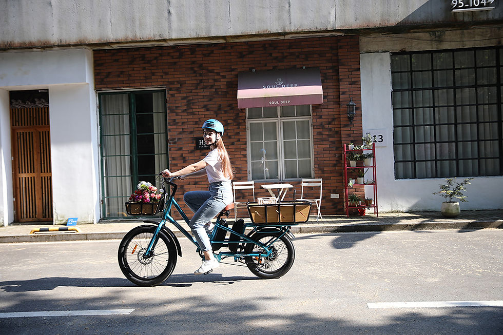 Thumbnail: Dual Battery Eelectric Cargo Bicycle Series