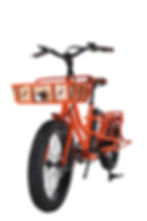 Eelectric Cargo Bicycle with Front and Rear Racks