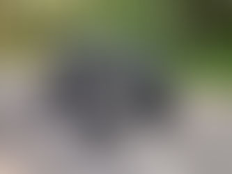 1500w Electric ATV for adults