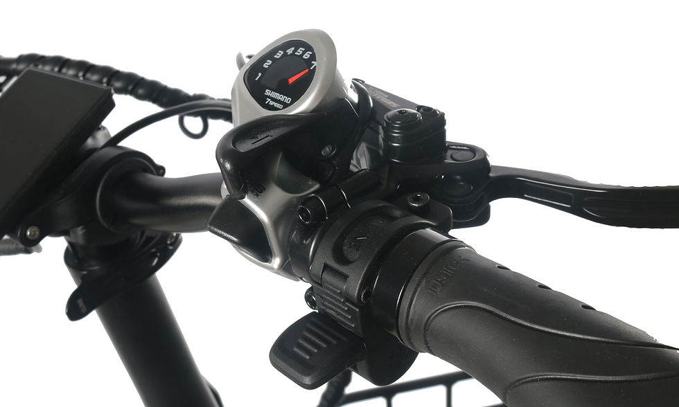 Thumbnail: Dual Battery Packs Eelectric Stepthru Bicycle with Baby Seat(s)