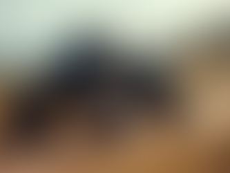 Electric ATVs are Taking Over the USA