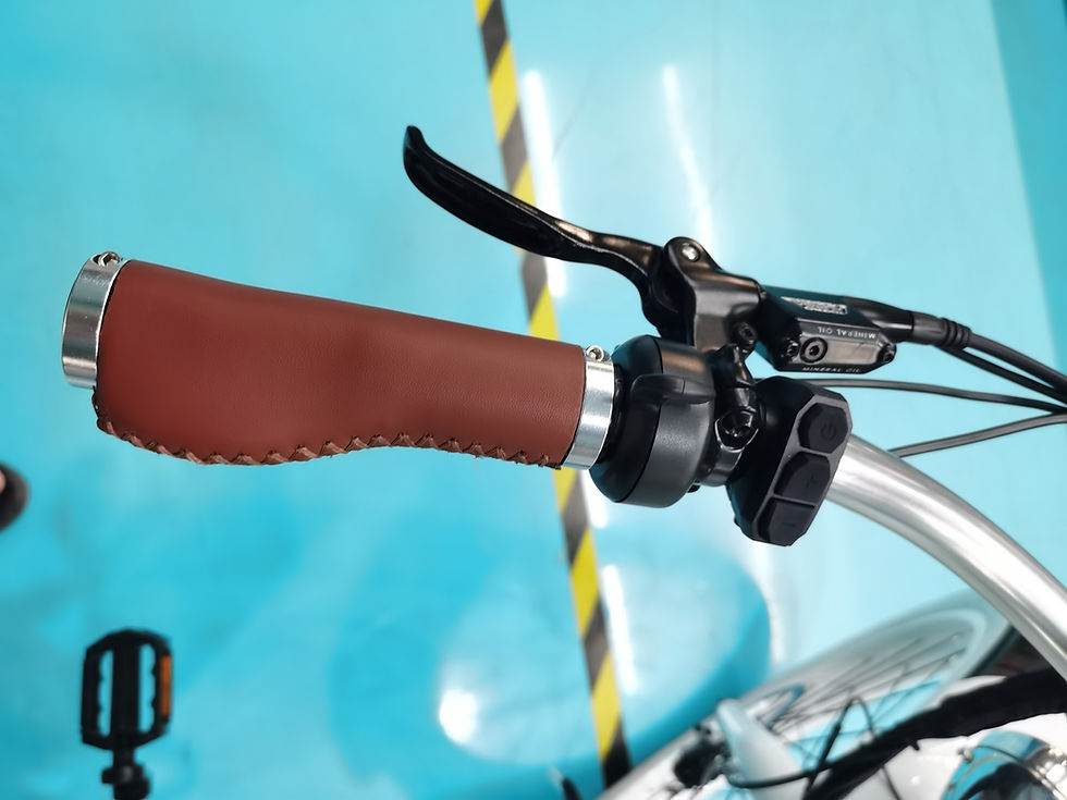 Thumbnail: City Step-thru ebike: Dorado for woamn