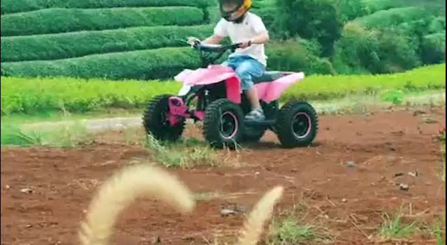 Mini Suzuki - Youth Electric 4-Wheeler: Full Suspension Mini ATV with Reverse