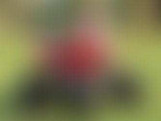 Electric Mini ATV Quad Bikes: The Ultimate Guide to Fun and Safety