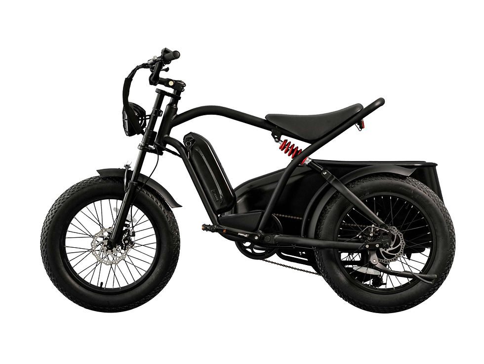Thumbnail: 20*4.0 Fat Ebike with Sidecar Family Electric Bicycle Pet Sidecar