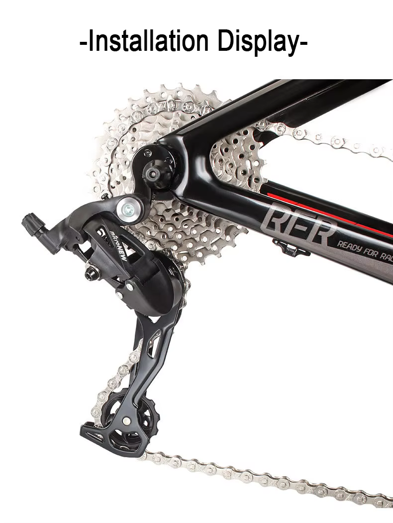 derailleur and flywheel