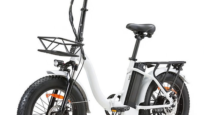 EU Drop Shipping 20x4.0 Fat Ebike Step Through Electric Bike B20