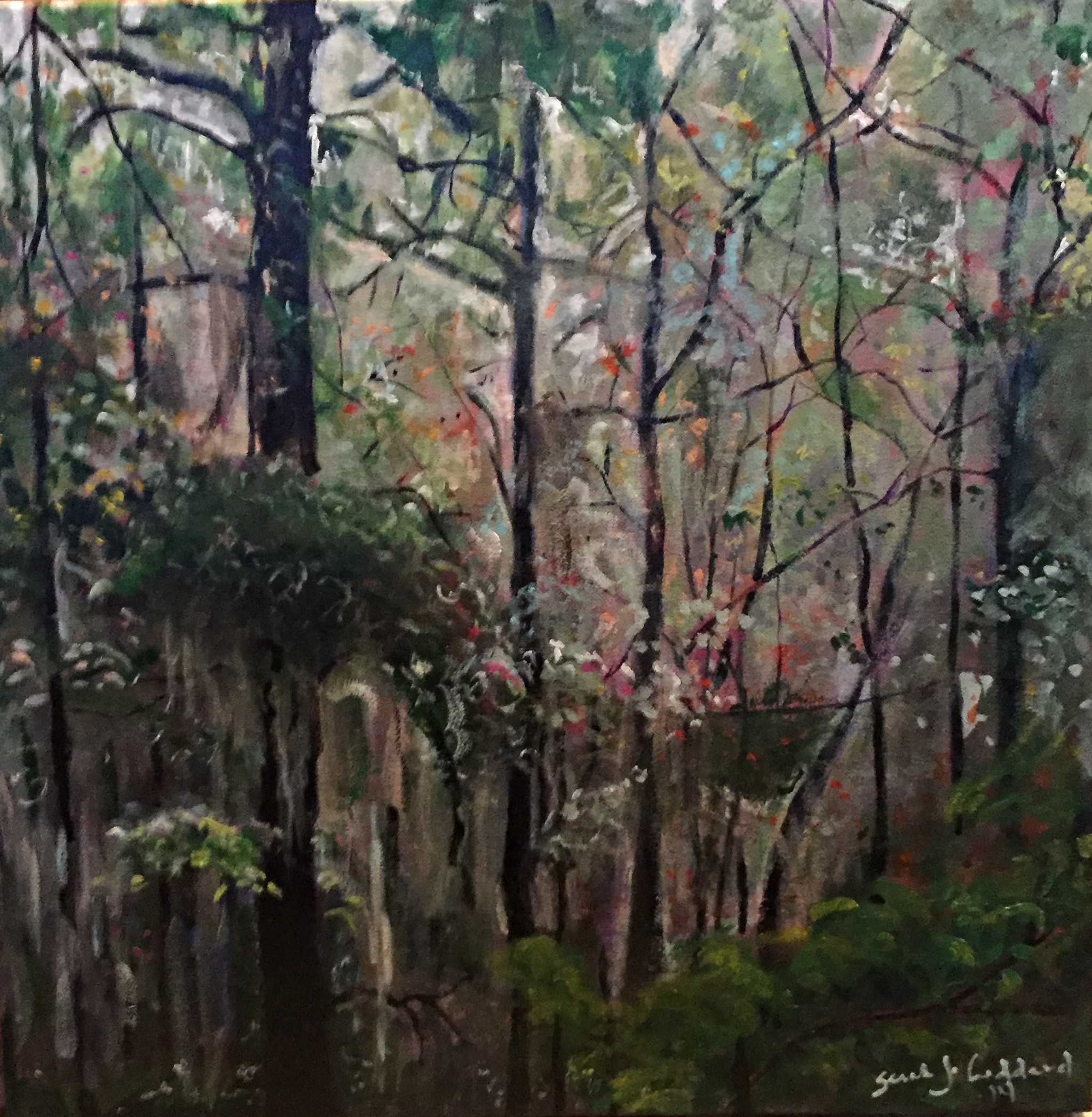 SCForest