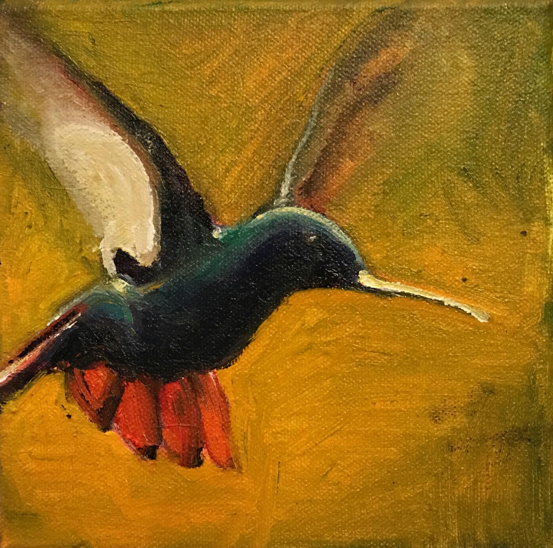 Hummingbird 4
