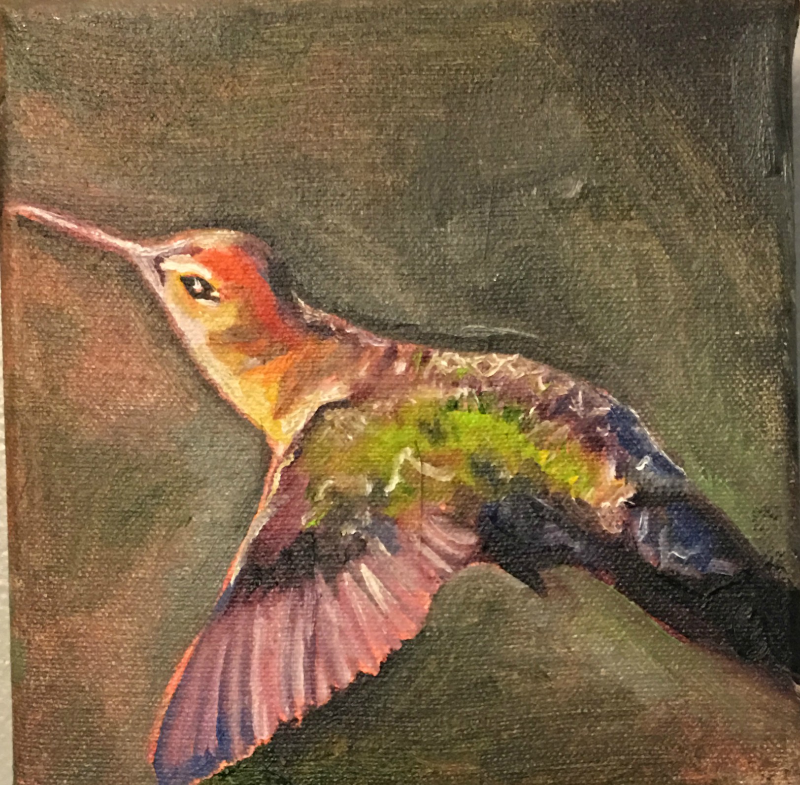 Hummingbird 1