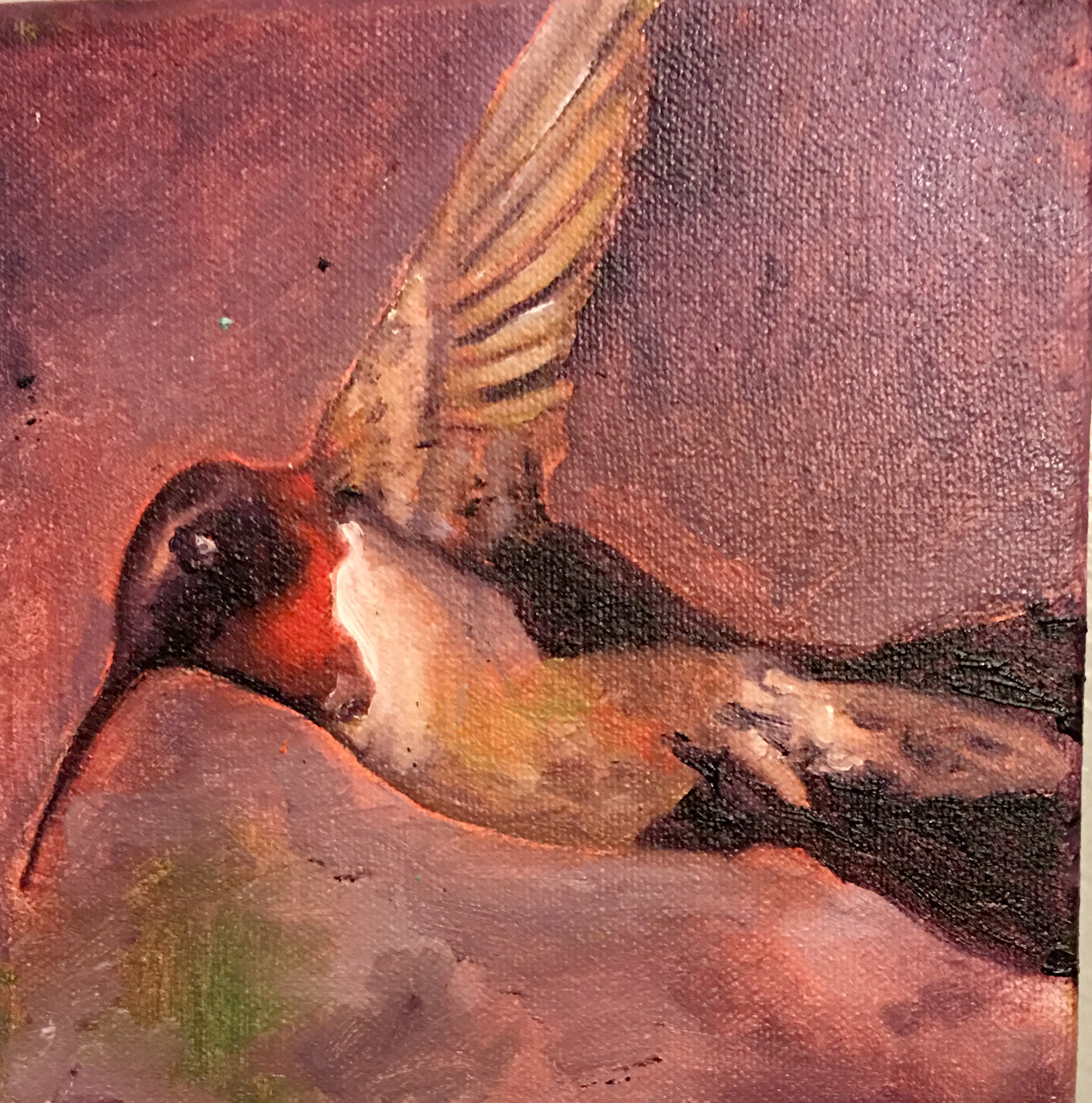 Hummingbird 3
