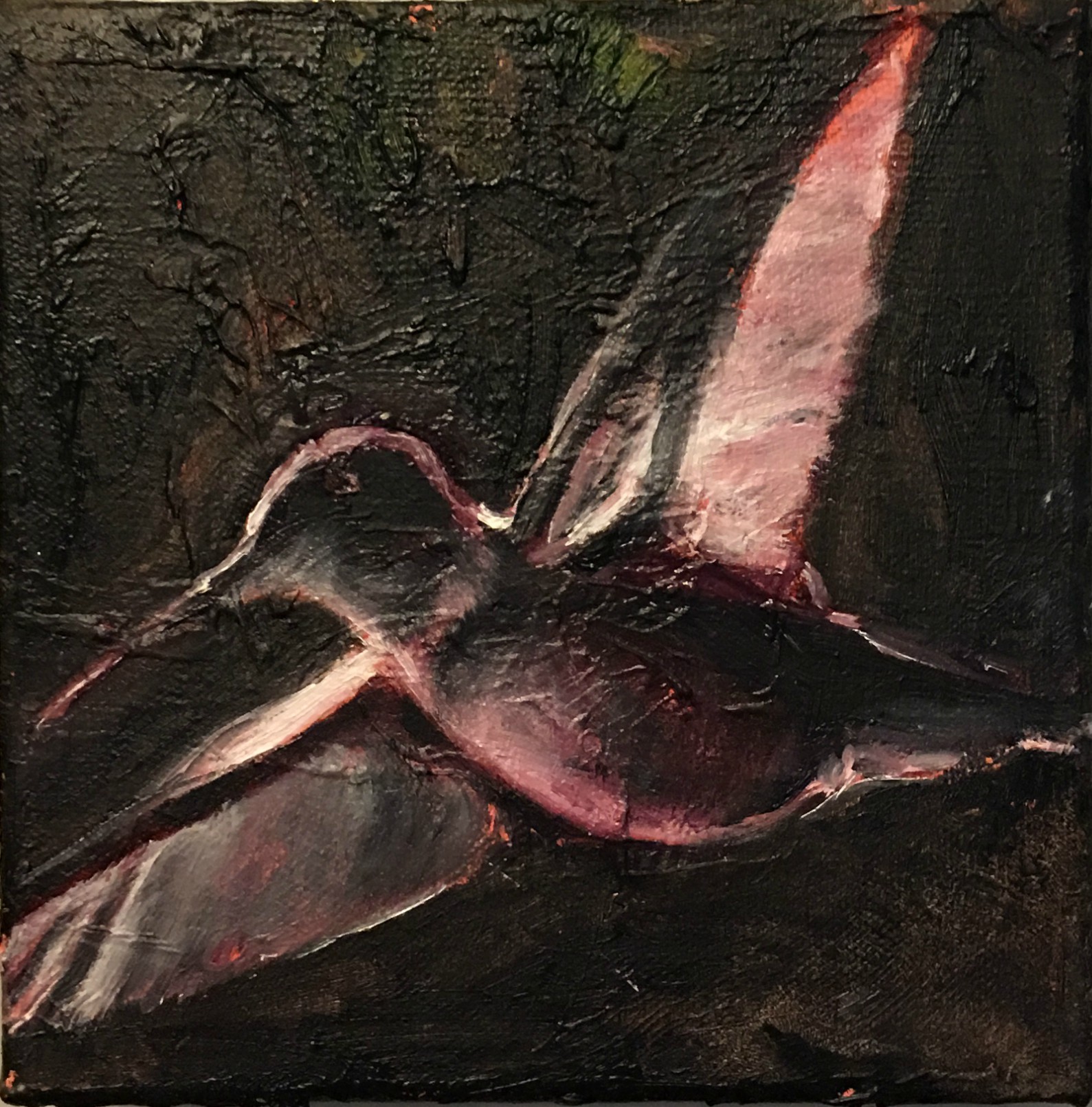 Hummingbird 2