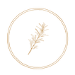 AEnB2UrcbhSwUX4_CwHvT0fh5ANtc_znLD0_g4A3