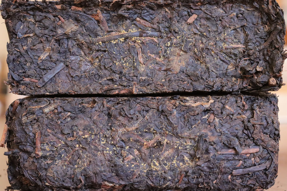 Thumbnail: 2017 Anhua Fuzhuan Yuntai Shan 云台山茯砖