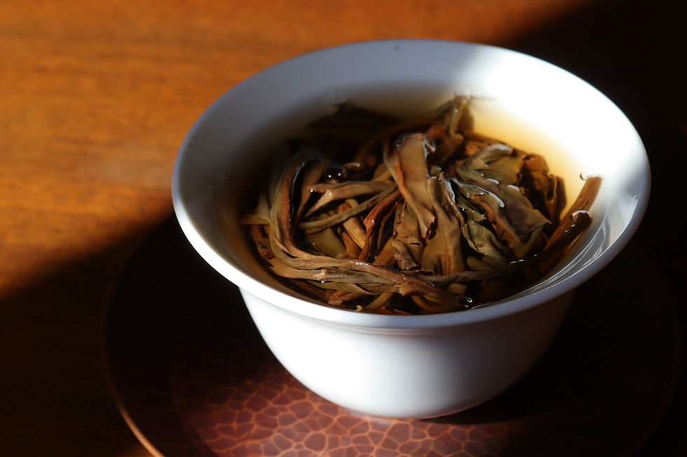 Thumbnail: 2013 Man Mai Gushu Dan Zhu Raw/Sheng Puerh 曼迈 (Single tree over 300 y/o)
