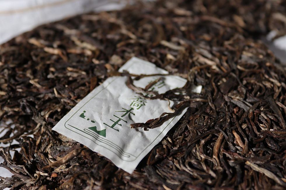Thumbnail: 2019 Da Xue Shan Qiaomu Raw/Sheng Puerh 大雪山