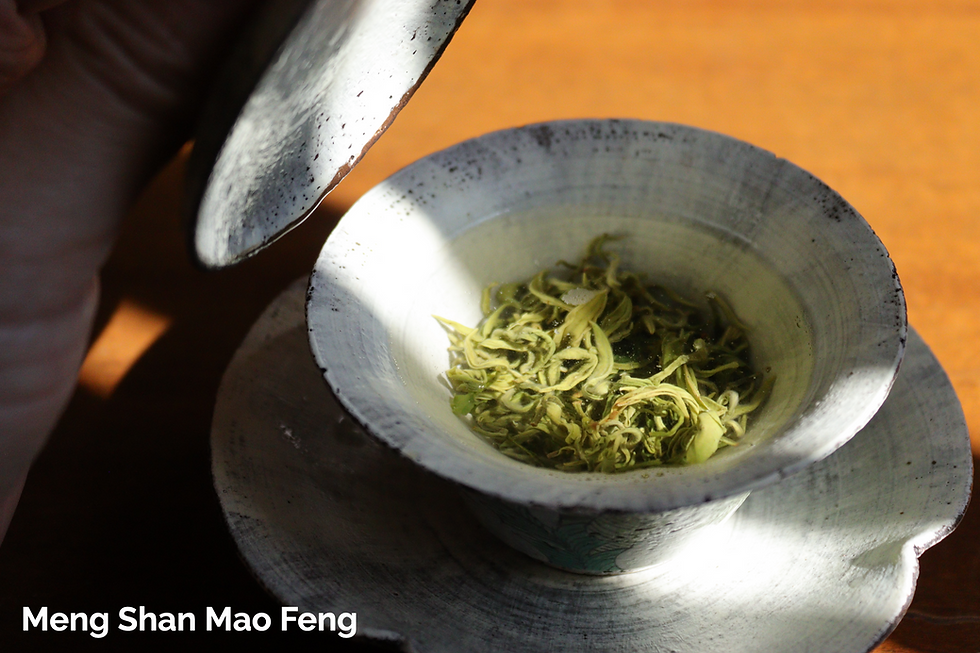 Thumbnail: 2026 Meng Ding Collection: Yellow & Green Teas