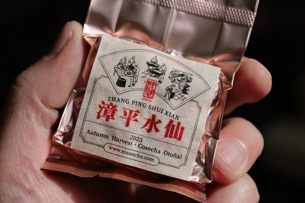 Miniatura: Zhang Ping Shui Xian (Tradicional) 漳平水仙 