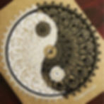 The Yin-Yang Journal