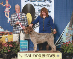 GCH Double Barrel's Besitos Caliente de