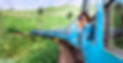 Travel Insurance