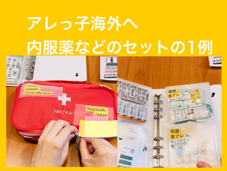 アレっ子内服薬セットの一例