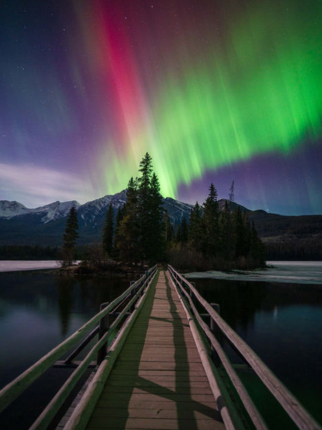 Northern lights illuminate a lake bridge, mountains, and trees; Devin Shaw Photography Jasper National Park
