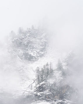 Snow covered trees, winter landscape, Yosemite National Park, Devin Shaw Photography, devinshots