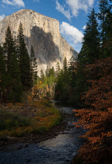 River flows below a massive mountain in Yosemite National Park, trees frame the view.