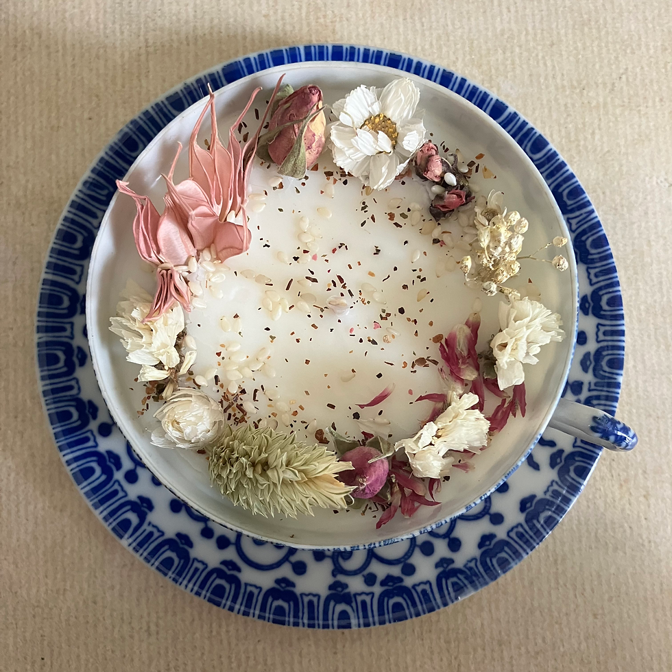 Miniature : Collection Porcelaine Japonaise