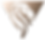 Victor-Logo-Icon-Gradient.png