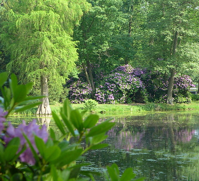 Schlosspark Krumke.jpg