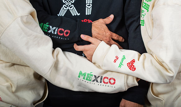 Sudadera Arena México