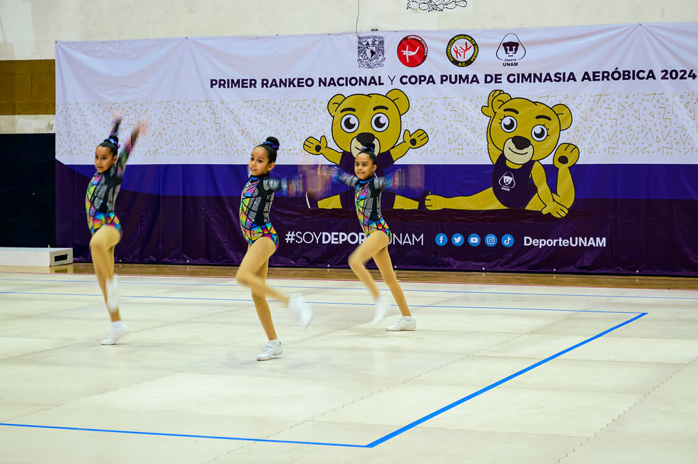 Gymland DNA Trío 2 7