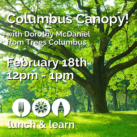 Instagram 2026 (17).png