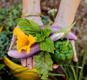 ColBotGarden_Veggies_BellettiPhotography_0028.jpg