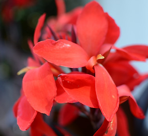 ATR_3742.JPG