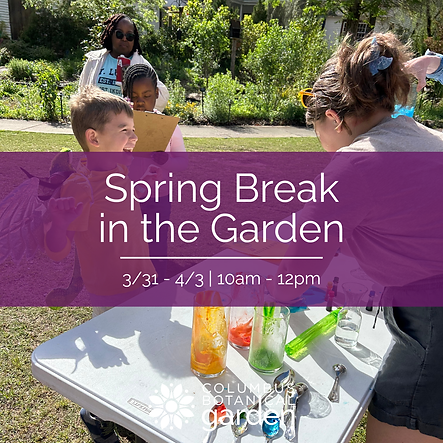 Insta 2025 - 2025-12-18T120802.118.png