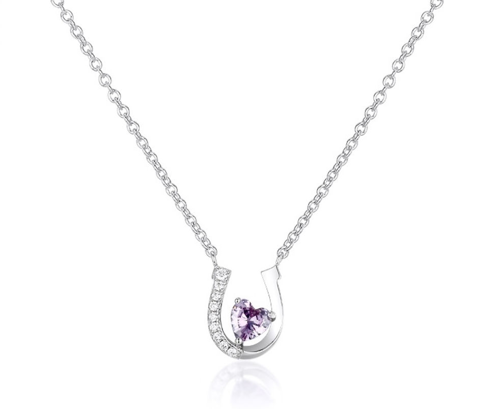 Thumbnail: Horse Shoe Birthstone Necklace 