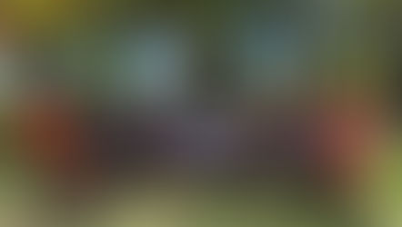 La FxA celebra el cierre exitoso de su ArquiCamp 2022