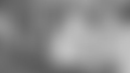 Presencia de las mujeres en la educación de la arquitectura