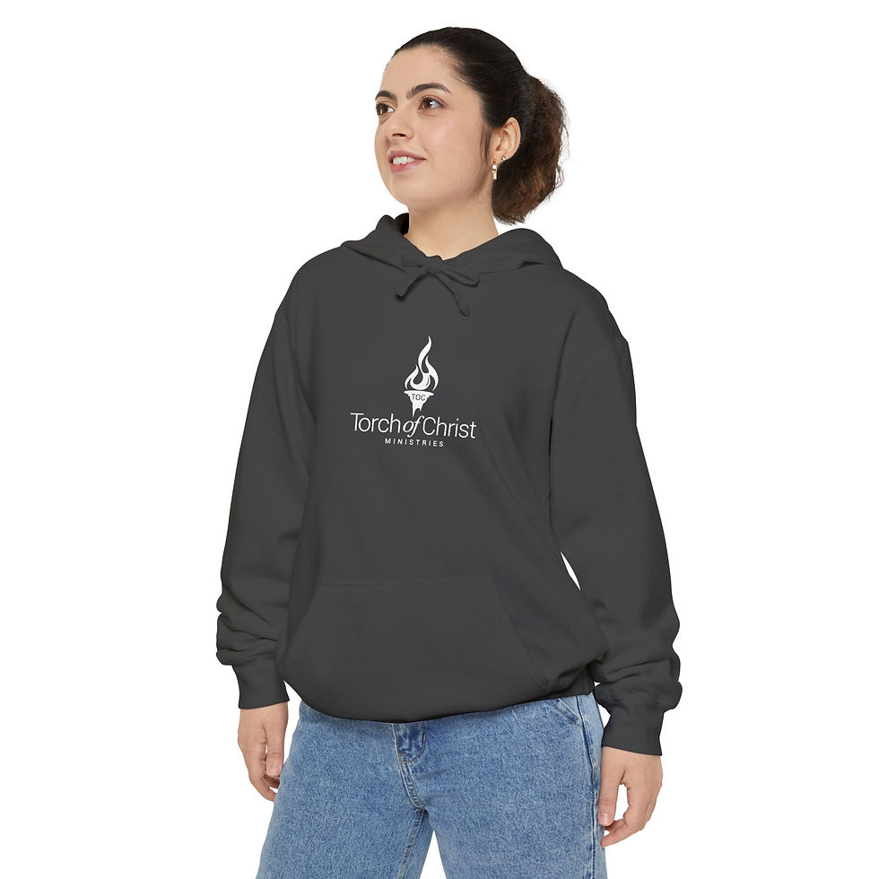 Thumbnail: Torch Logo — Minimalist Garment-Dyed Hoodie, view 5