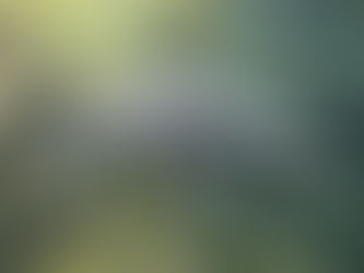 Catfish ke Liye Perfect Tank Setup Kaise Banaye?