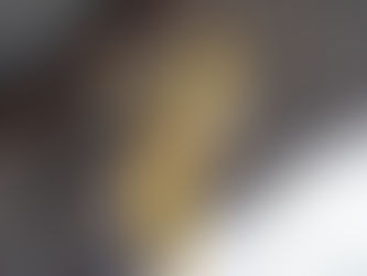 Cockatiel Ke Liye Best Cage Setup: Captivity Me Perfect Ghar Kaise Banayein?