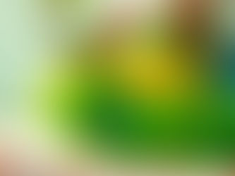 Common Goldfish Health Problems Aur Unka Treatment