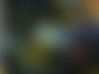 Understanding Cichlid Health: Common Problems and Effective Solutions